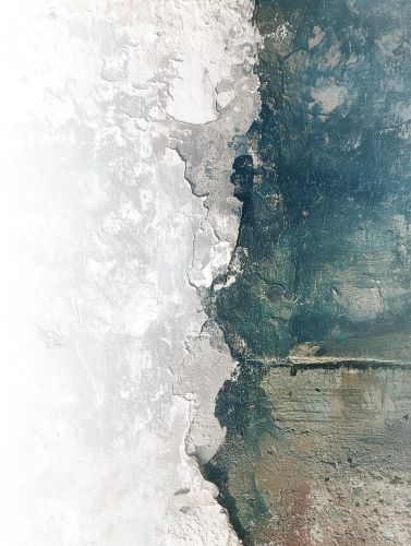 ZANDER Schimmelbeseitigung Leipzig